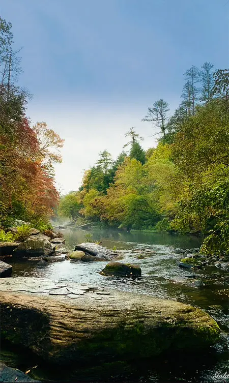 River with a view