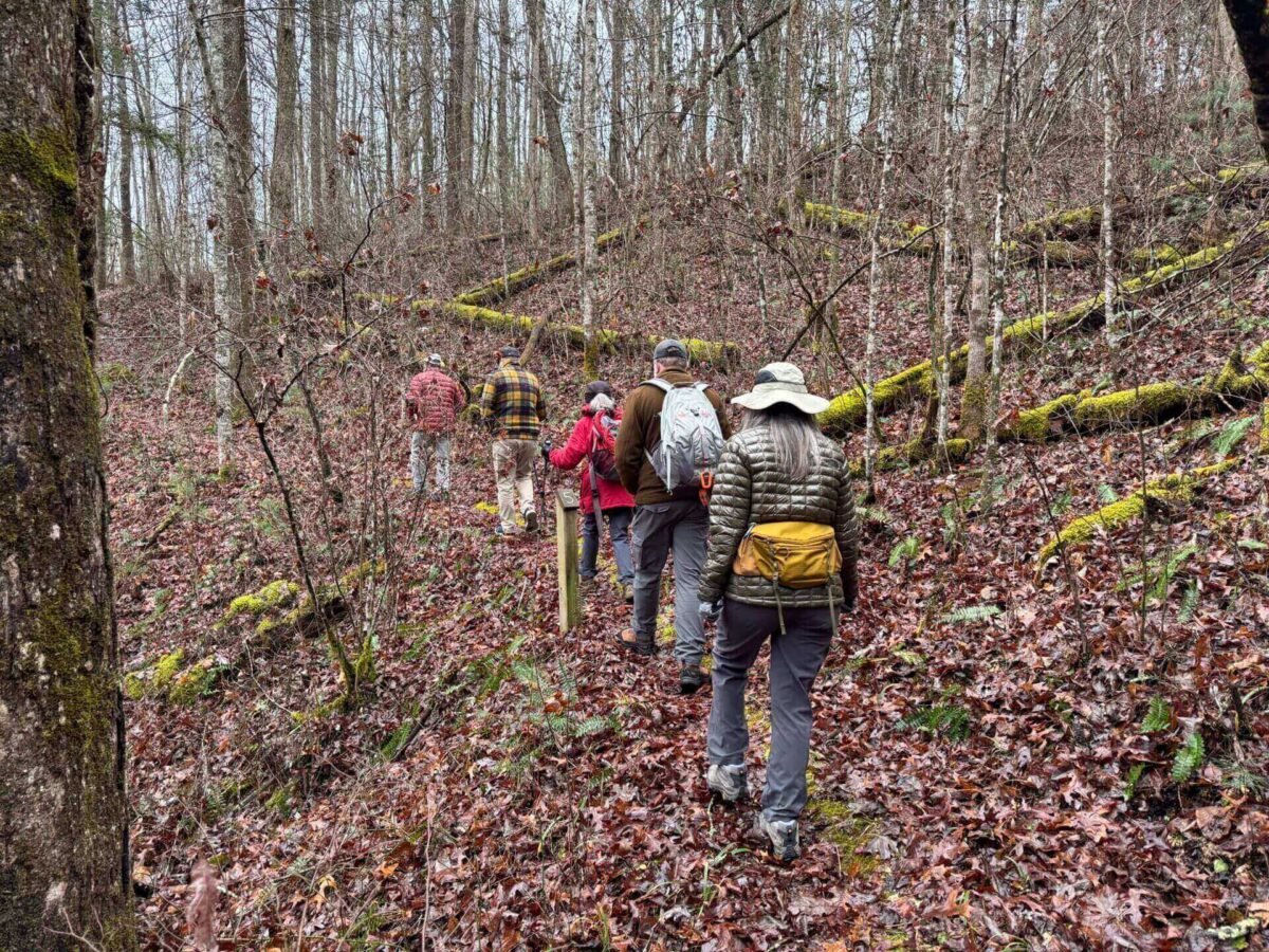 People hiking through a wooded trail.